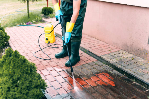 Best Pressure Washing Siding  in Palm Valley, FL